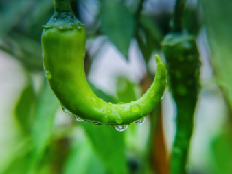崇州食堂送菜几点到?按开餐时间倒推验收节点 崇州食堂送菜几点到?按开餐时间倒推验收节点