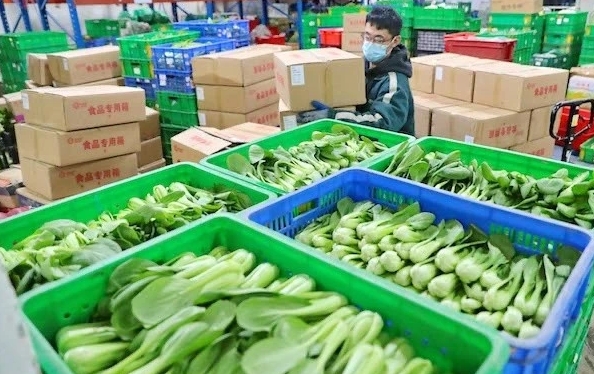 食堂蔬菜配送报价太高怎么谈 食堂蔬菜配送报价太高怎么谈